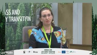 Dimensions of Energy Poverty in Bulgaria by Teodora Peneva |BioScreen &amp; Just Energy Transition, 2022