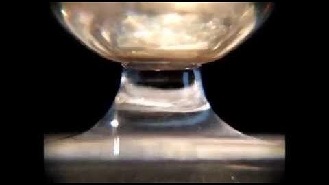 Floating Water Bridge: Amazing!