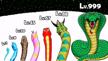 Snake Run Evolution - Snake Size Evolve Max Level Up | All Snakes