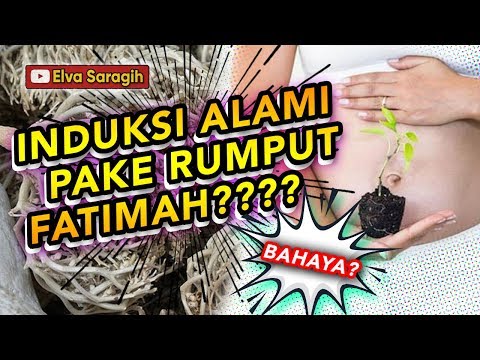 Amankah Ibu Hamil Minum Air Rebusan Rumput Fatimah ? - dr. Evie Sungkar, M.Ked (OG), SpOG. 