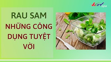 Những công dụng tuyệt vời của rau Sam | THUỐC QUÝ QUANH TA