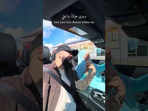 حين التقيتك عاد قلبي نابضا        