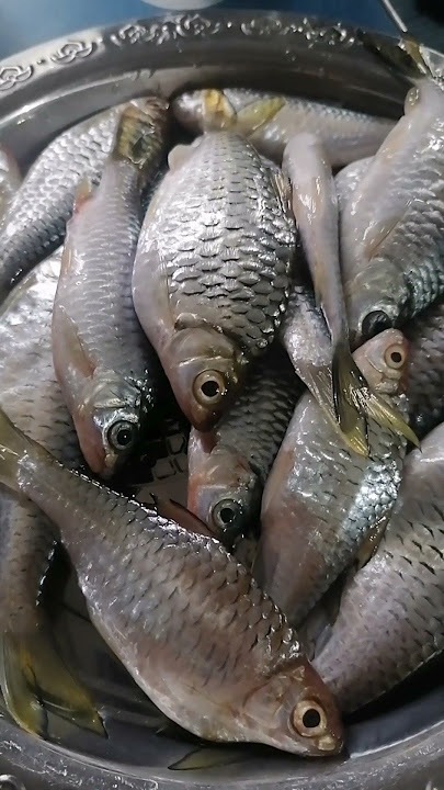 Hasil memancing lbih bnyak masai, elok jugelah digoreng garing. alhamdulillah buat lauk