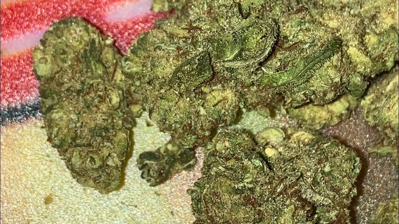 Colorado 31% THC dispensary bud review Chocolate 🍫 Malawi