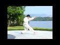 Стиль Богомол сливы Мэйхуа тайцзи. Ушу //Maihua plum mantis style meihua taiji. Wushu