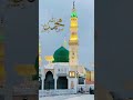 secret for Quran 😱 only for Nabi #shorts #viral #ishlam #onlyfornabi