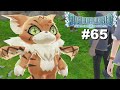 Digimon World: Next Order Episode 65 - EX02 - Meicoomon&#39;s Riddle