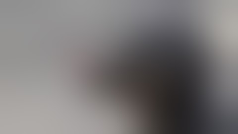 TOP 10 Loài Động Vật Thông Minh Nhất Thế Giới –  Top Animals