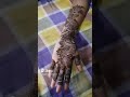 Gauri creation 8005beautiful mehendi disain