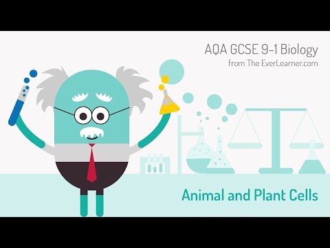 AQA GCSE 9-1