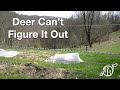 3D Deer Fence | How We KEEP DEER OUT of the Garden