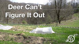 3D Deer Fence | How We KEEP DEER OUT of the Garden
