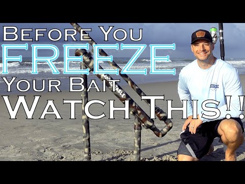 BEFORE YOU FREEZE Your Bait Mold, WATCH THIS! Bait Launcher Baits -  Alternate Bait Cannon Bait Ideas 