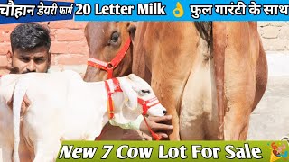 20 Letter Milk 👌 असली गारंटी वाली गाय 🎉 Top 7 Sahiwal Gadri Rathi Tharparkar Cow For Sale 👌 Cow Farm