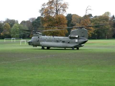 chinnock bute