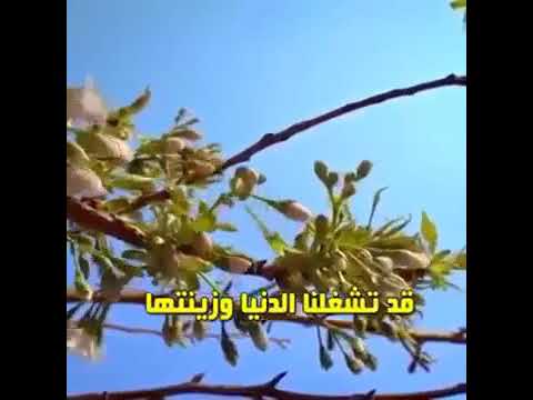 ف س ب ح ب ح م د ر ب ك و اس ت غ ف ر ه إ ن ه ك ان ت و اب ا من سورة النصر آية 3
