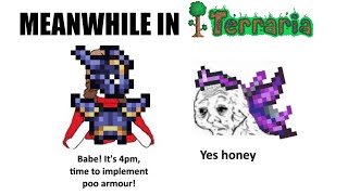 Terraria memes 20