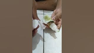 Cara Pakai Daun Bungkus Papua .