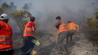 Le Maroc sensibilise aux risques de feux de forêts