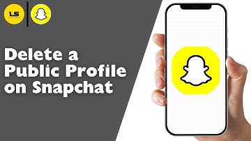How to Delete a Public Profile on Snapchat (2025)