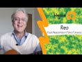 "Retomada" (Flávio Fonseca) en Esperanto