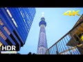 【4K HDR】Tokyo Evening Walk - Tokyo Skytree, Asakusa