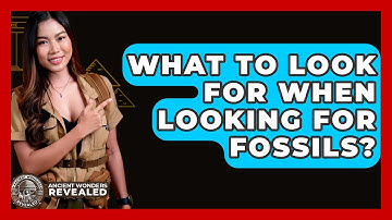 What To Look For When Looking For Fossils? - Ancient Wonders Revealed