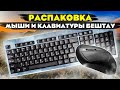 РАСПАКОУКА российской мыши БЕШТАУ М100РУ и клавиатуры БЕШТАУ КЛ104РУ