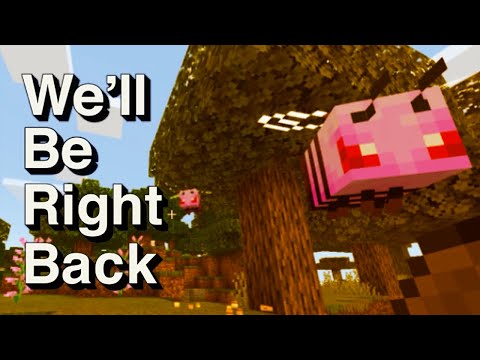 we'll-be-right-back-in-minecraft-but-questionable