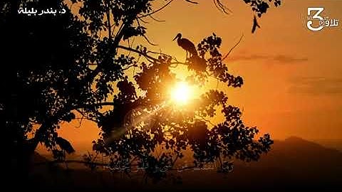 ﴿وَما أَنفَقتُم مِن شَيءٍ فَهُوَ يُخلِفُهُ﴾ تلاوة رائعة || د. #بندر_بليلة💭🖤.