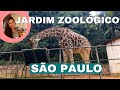 Jardim Zoológico em São Paulo, como visitar?