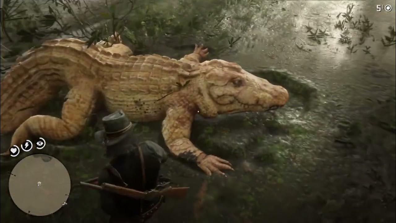 Red Dead Redemption 2 Legendary animals RDR2 Alligator YouTube