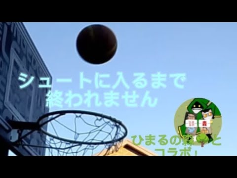 シュート入るまで終われません！ @ひまるの森 - YouTube