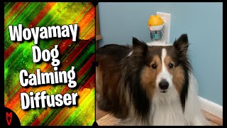 Help Your Dog Relax || Woyamay Dog Calming Diffuser || Mumblesvideos Product Review