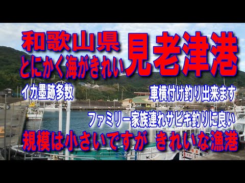 #125和歌山県見老津港和歌山県西牟婁郡すさみ町見老津海と入江が素敵な道とにかく海がきれい車横付け釣り出来ますファミリー家族連れサビキ釣りに良いイカ墨跡多数五目で色々な魚が良く釣れる漁港人気のポイント