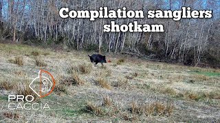 ☆compilation sangliers shotkam 2023/2024☆