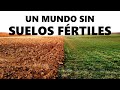 LA DEGRADACIÓN DEL SUELO: Un Problema Más Serio De Lo Que Creemos | El Planeta Z