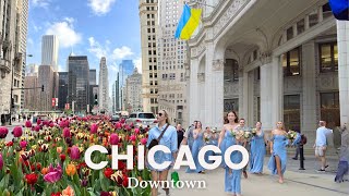 [4K] CHICAGO  Must See Downtown Walking Tour | Michigan Avenue, Magnificent Mile, Illinois, USA 4K