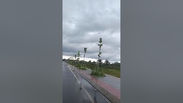 Dự án đất nền duy nhất tại KCN Vsip 3 Bình Dương