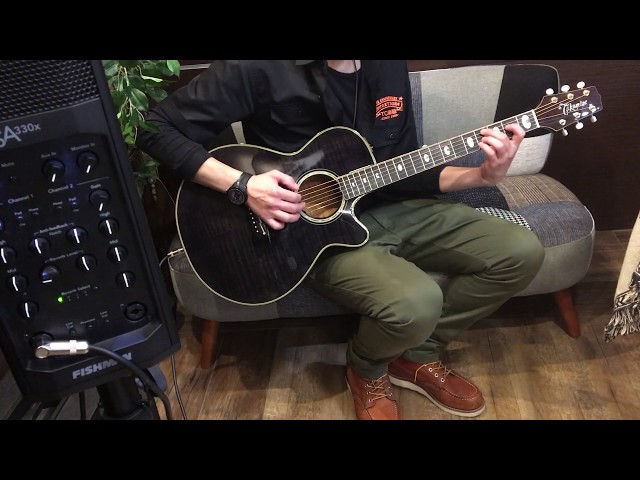 タカミネ Takamine PT-118 エレアコ 80'S Takamine 1984 PT-118【78095】 - YouTube