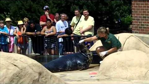 An Interview at the Zoo- IAN Rasmussen HSDS