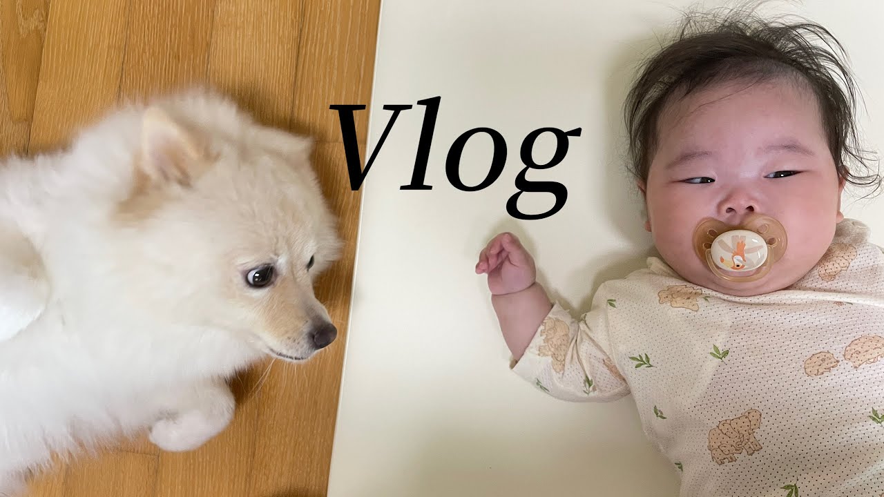 6개월 아기 이유식 시작!👶🏻 첫 숟가락 먹방 | 육아 브이로그