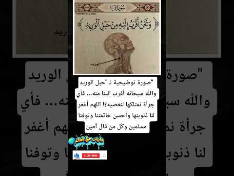 صورة توضيحية ل حبل الوريد والله سبحانه أقرب إلينا منه معلومات اكسبلور  الجزائر
