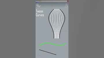 Tween Curves - Rhino Tutorial