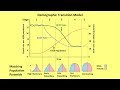 Population Growth and Demographic Transition Quiz