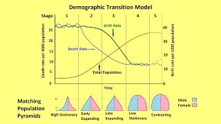 Why Populations Grow and the Demographic Transition Model