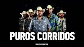 Los Chavalitos MIX Corridos