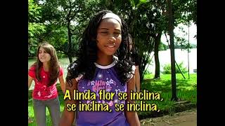 Vídeo de As Árvores Balançam