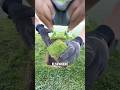 How to maintain a golf course👍#bmx #shortvideo #funnyvideo #shorts #funny