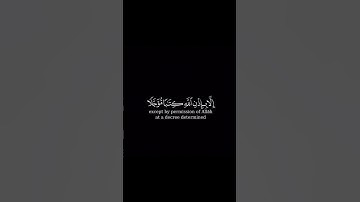 سورة آل عمران | الآية ١٤٥ | القارئ ياسر الدوسري